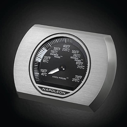���� �� ���� NAPOLEON �������� ROGUE XT ��� 425SIB