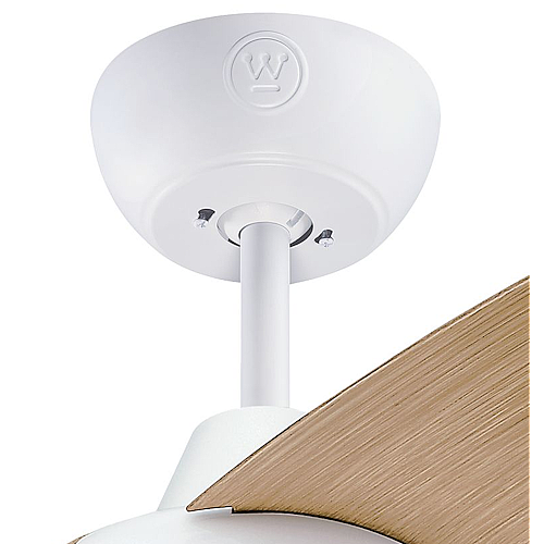 ������ ���� "42 WESTINGHOUSE ����������� ��� 73184-2848