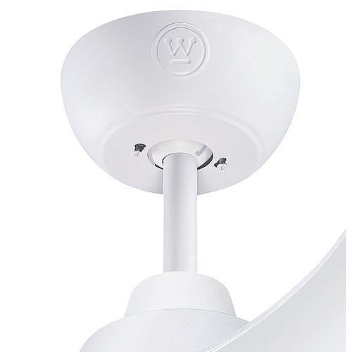 ������ ���� "42 WESTINGHOUSE ����������� ��� 73186-2848