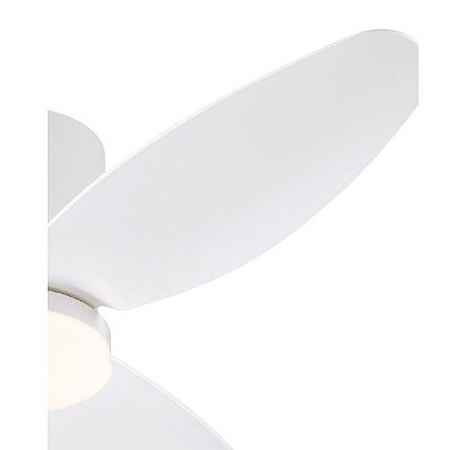 ������ ���� 42" CARLA ���� WESTINGHOUSE ����������� ��� 73250-2848