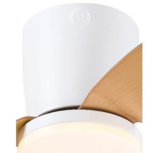 ������ ���� 48" CARLA ���� WESTINGHOUSE ����������� ��� 73242-2848