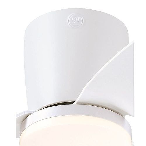 ������ ���� 48" CARLA ���� WESTINGHOUSE ����������� ��� 73252-2848