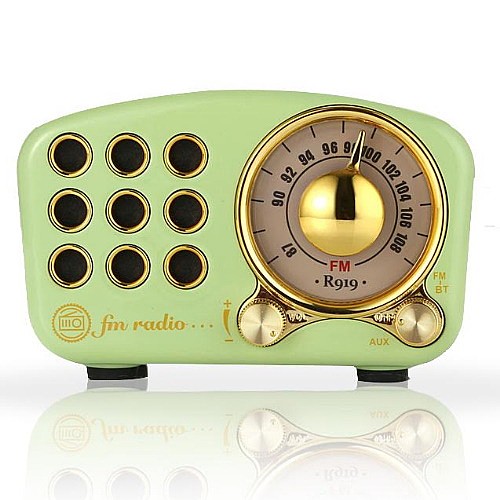 ���� ���� ������ ���� SAFA ���� ��� A-919