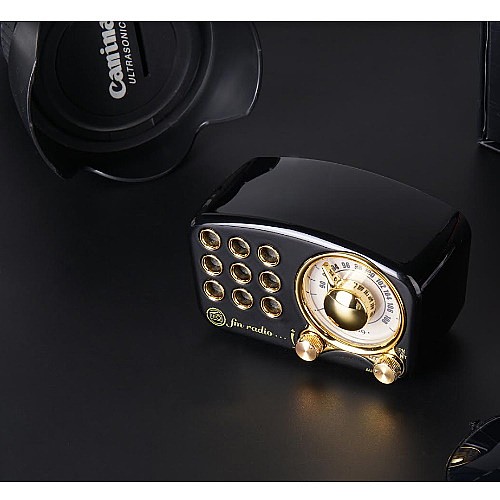 ���� ���� ������ ���� SAFA ���� ��� A-919