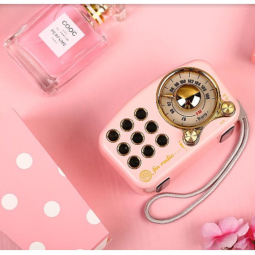 ���� ���� ������ ���� SAFA ���� ��� A-919