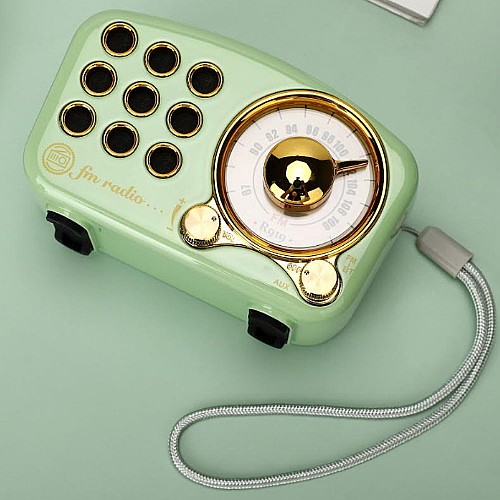 ���� ���� ������ ���� SAFA ���� ��� A-919