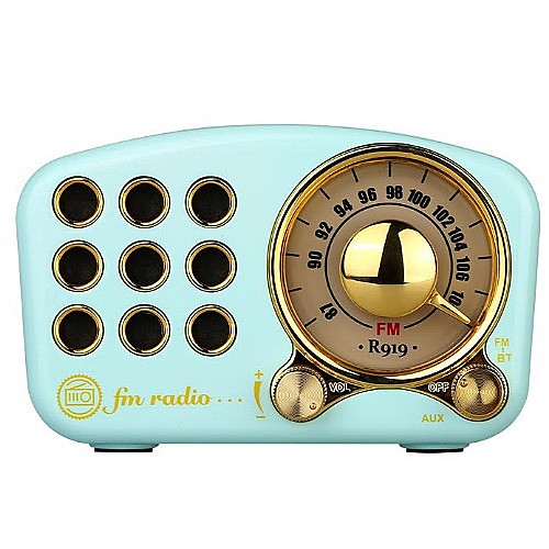 ���� ���� ������ ���� SAFA ���� ��� A-919