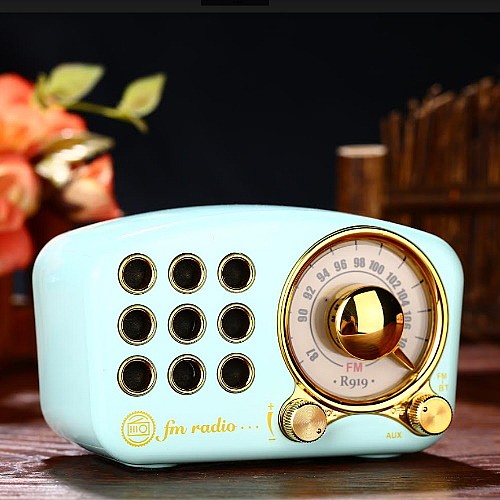 ���� ���� ������ ���� SAFA ���� ��� A-919