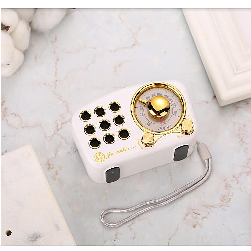 ���� ���� ������ ���� SAFA ���� ��� A-919