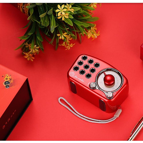 ���� ���� ������ ���� SAFA ���� ��� A-919