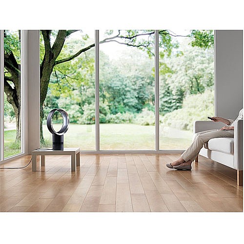 ������ ��� ����� / ���� ����� 10" ���� DYSON ������ ��� AM06
