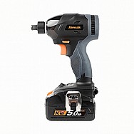 ����� ������ ���� AIMSAK ����� ��� BL18X205