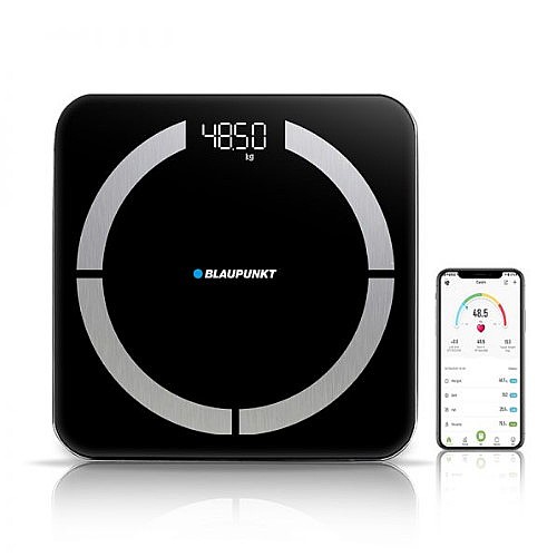 ���� ��� ���� BLAUPUNKT ��������� ��� BP-X1200