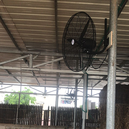 ������ ����� ������� ���� HAVAYA ������ ���  BREEZE VENT 26 