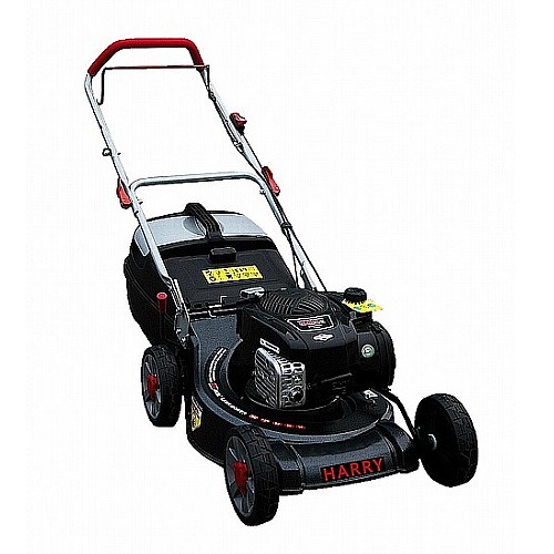 ����� ��� ������ ���� HARRY ���� ��� CJ19