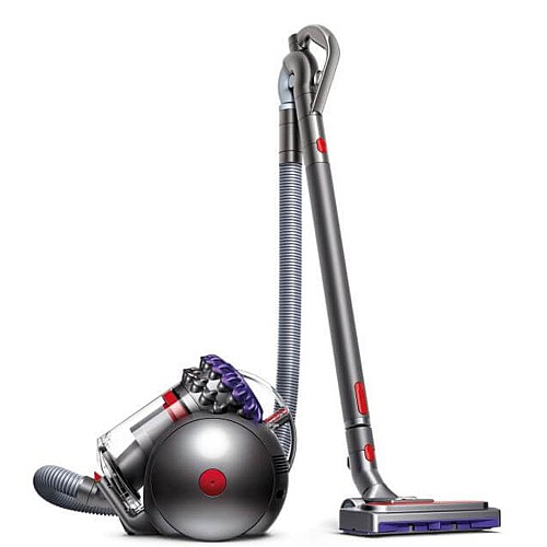 ���� ��� ���� ���� ���� DYSON ������ ���� CY28 BIG BALL ANIMAL 2 ������ ������ 