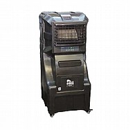 ���� ����� ����� ���� HAVAYA ������ ��� CYCLONE