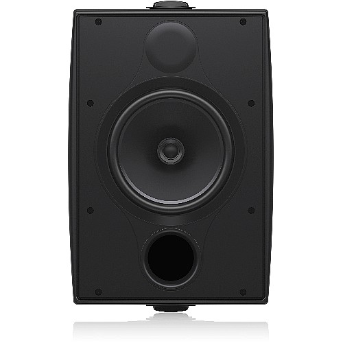 ��� ������� ����� OUTDOOR/INDOOR ���� TANNOY ����� ��� DVS 8T