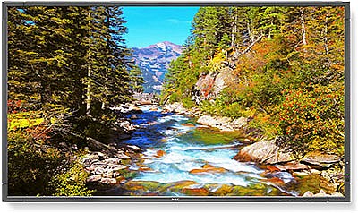 ������� 80" LED ���� NEC ��� E805