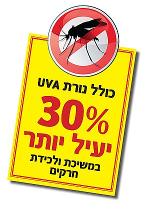 ���� ������ 2X20 ���� SACHS ��� EF604
