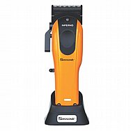 ����� ������ SASSONIC ������ ��� ESE903