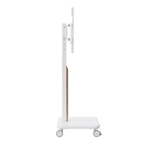 ���� ����� ����� ������ �� "85 LUMI ���� ��� FS63-46SW