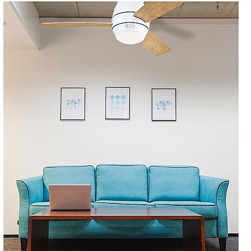 ������ ���� 44" ���� WESTINGHOUSE ����������� ��� HALLEY