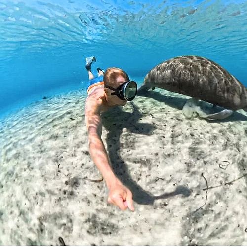 ���� ����� ������ INSTA360 X5 ��� IN87CINSBAHJ INVISIBLE DIVE CASE