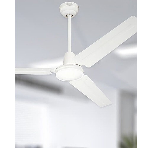������ ���� ������� 56" ���� WESTINGHOUSE ����������� ��� INDUSTRAIL
