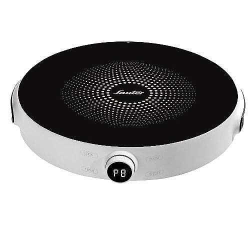 ���� ��������� ����� 30 �"� ���� SAUTER ����� ��� INP313W