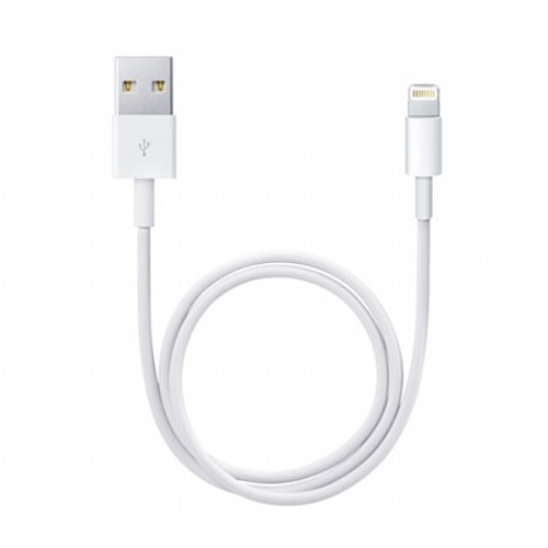 ���� ����� ������� 5/6 ���� APPLE ���