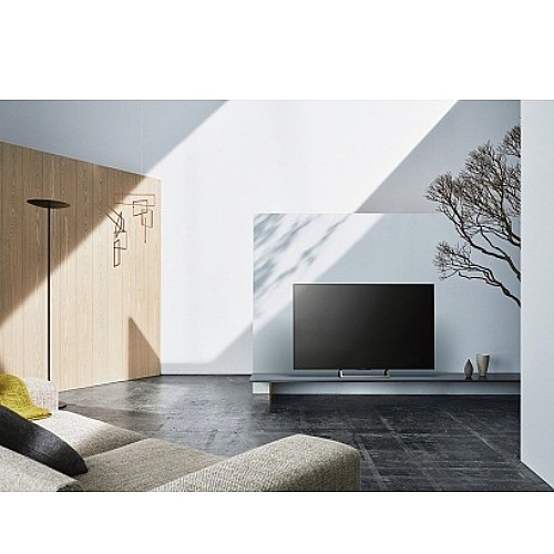 �������� 75" 4K ���� SONY ���� KD75XE8596BAEP
