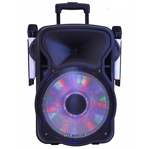 ����� ���� ����� ������ "12 ���� PURE ACOUSTICS ���� �������� ��� LX-200