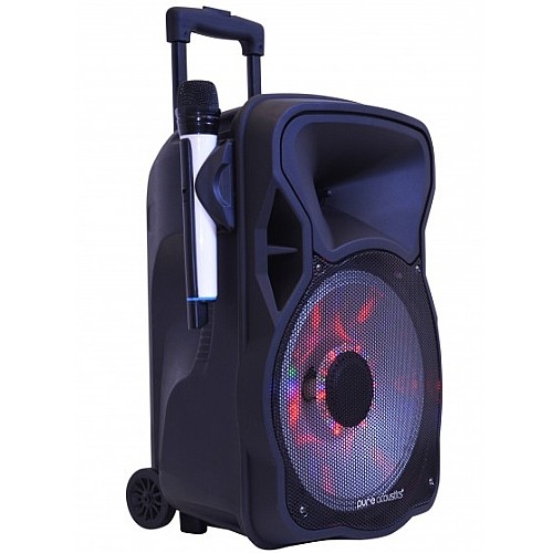 ����� ���� ����� ������ "12 ���� PURE ACOUSTICS ���� �������� ��� LX-200