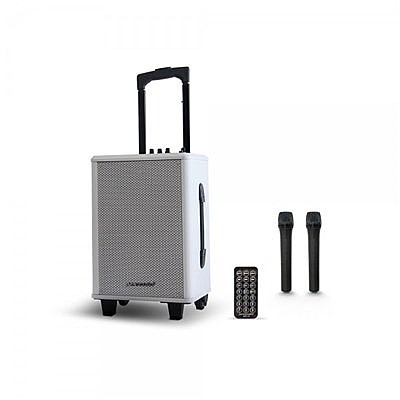 ������� ����� BLUETOOTH ���� PURE ACOUSTICS ��� MCP70
