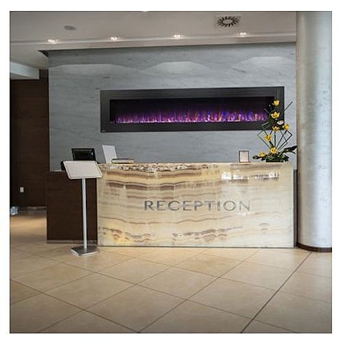 ���� ����� 100 ���� NAPOLEON �������� ALLURE NEFL100FHI
