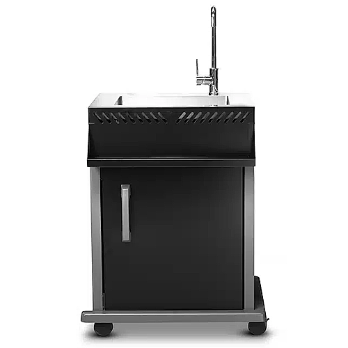 ����� ���� ���� NAPOLEON ROGUE �������� ��� NRSC425SG-BK