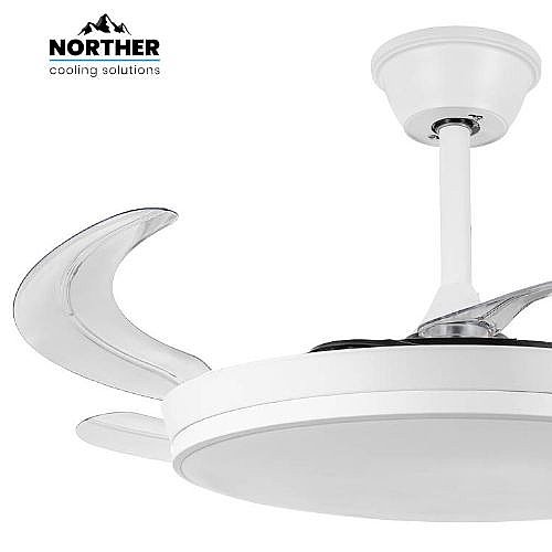 ������ ���� 42" DAISY ������ ������� NORTHER ����� ��� NT-DAI42-W-L