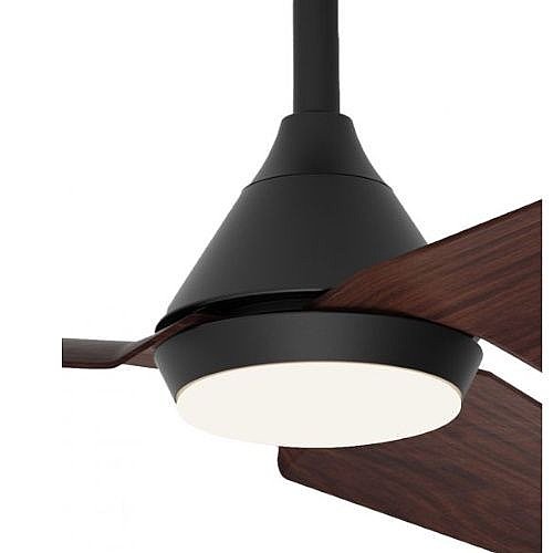 ������ ���� "52 NORTHER ����� ��� NTP-TNGIP44-BKWD-LED
