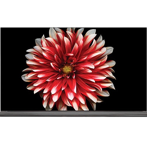 �������� 65" OLED 4K ���� LG �� �� ��� OLED65E7Y
