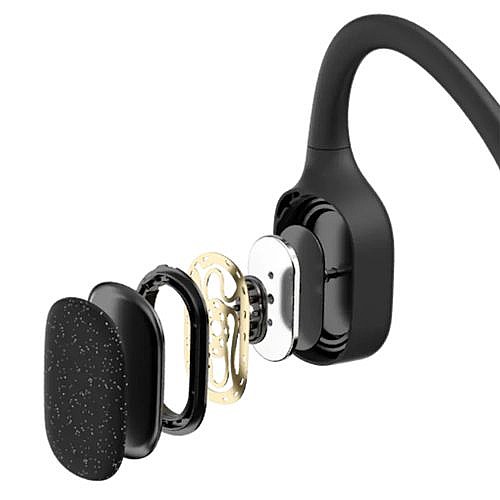 ������� �������� ������ ���� SHOKZ ���� ��� OPENSWIM