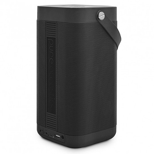 ����� ������ ���� PURE ACOUSTICS ���� �������� PILLAR
