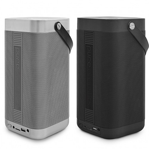 ����� ������ ���� PURE ACOUSTICS ���� �������� PILLAR