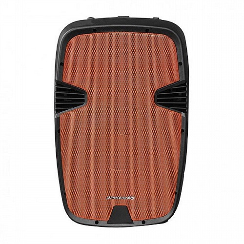 ����� ������ ����� 12� �� 2 ���������� ���� PURE ACOUSTICS ���� ������� PMW 2012