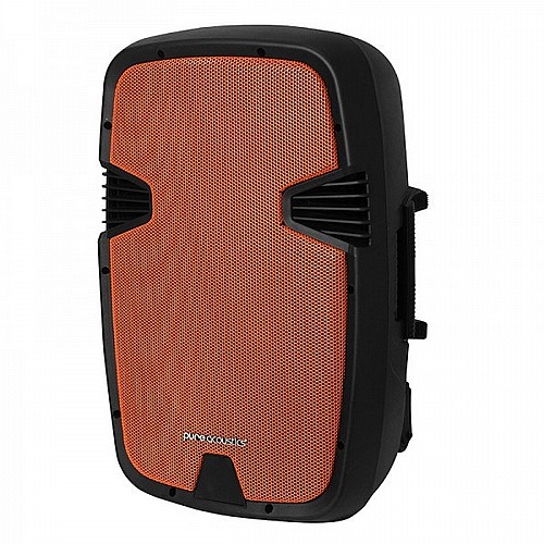 ����� ������ ����� 12� �� 2 ���������� ���� PURE ACOUSTICS ���� ������� PMW 2012