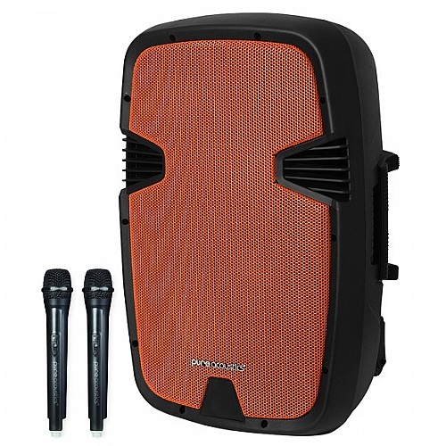 ����� ������ ����� 15� �� 2 ���������� ���� PURE ACOUSTICS ���� ������� PMW-2015