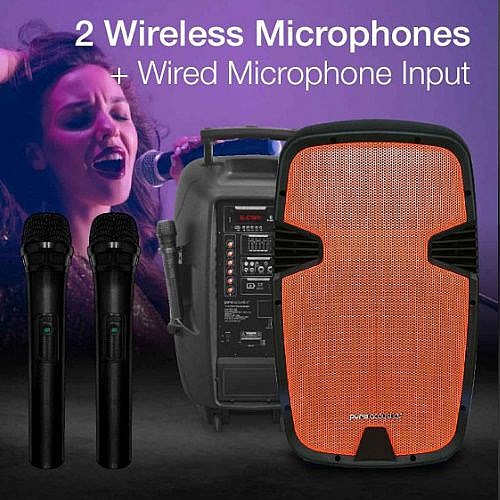 ������� ������ 15� �� ��� ���������� ���� PURE ACOUSTICS  ���� �������� ��� PMW3015