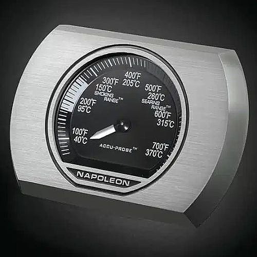 ���� �� 2 ������ NAPOLEON �������� ��� R365PK-2-IL ROGUE 
