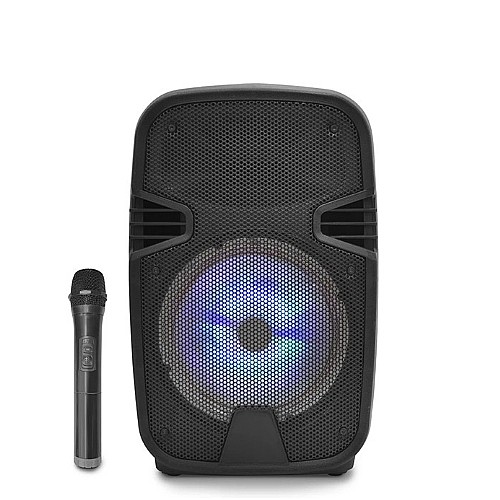 ������� ������ ����� "12 ���� PURE ACOUSTICS ���� �������� ��� RASTA12