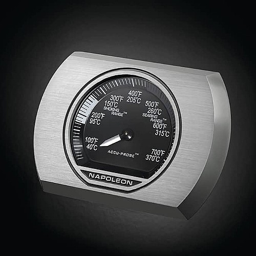���� �� 2 ������ ���� NAPOLEON �������� ��� ROGUE 365